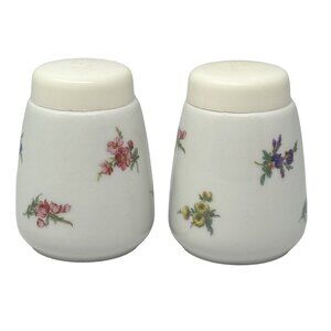 Seltmann Weiden Salt and Pepper Shaker Set Floral Porcelain Vintage Bavaria